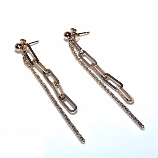 Women's silver earrings