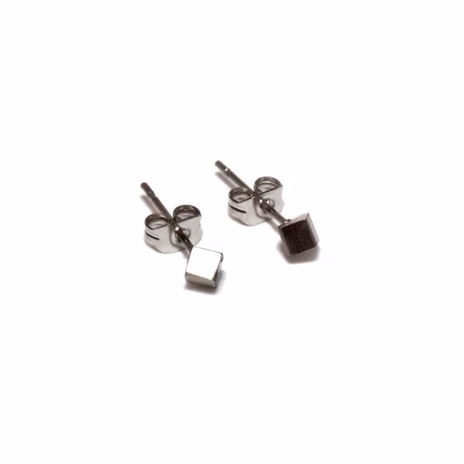 Stainless steel Earrings