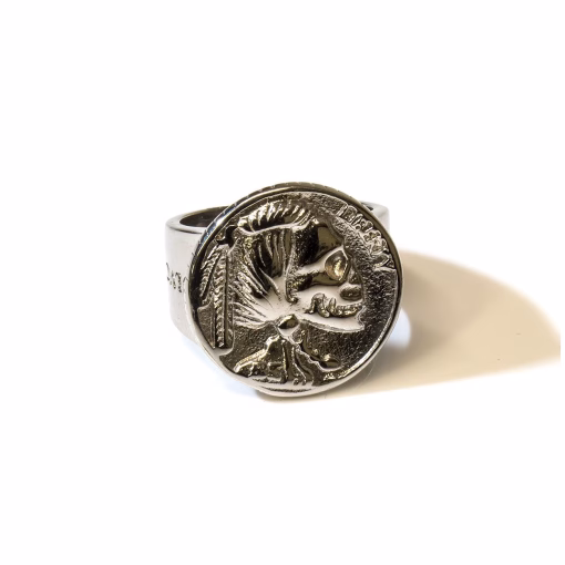 Coin Steel ring