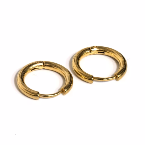 Gold colored earrings